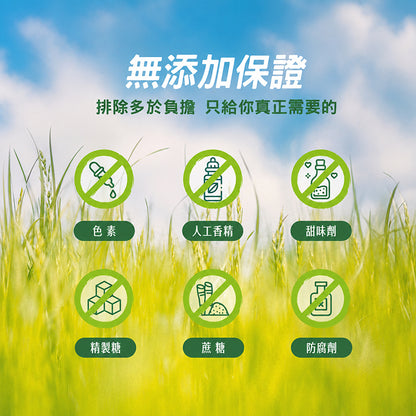 【沃爾司】食事安心-輕纖益350億益生菌粉包 15包/盒 專利益生菌+益生元+後生元 菊苣纖維 舒適順暢
