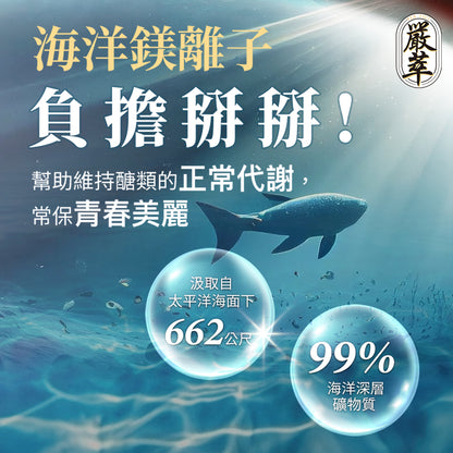 【嚴萃】燃No.1極致代謝x白腎豆 30顆/盒 多國專利原料 馬鈴薯萃取+海洋鎂 飯前補給 大餐應酬必備