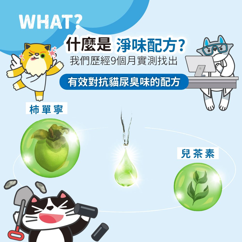 【臭味滾ODOUT】沛點炭強效除臭粒 80g/包 貓砂除臭 活性炭 沸石 雙重淨味 無香除臭 延長貓砂使用