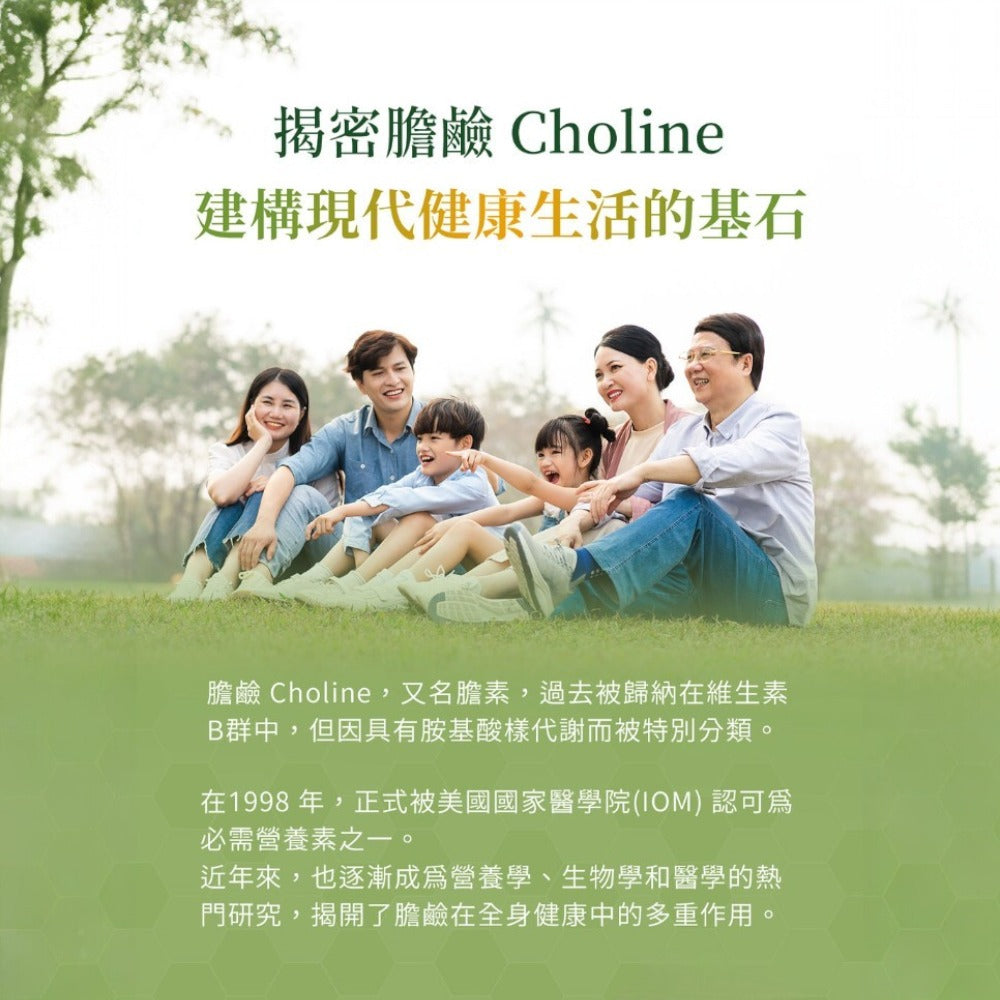 【MERGEN默根】重酒石酸膽鹼膠囊 60顆/盒 西班牙來源 思緒清晰 提升注意力 靈活應對 全素可食