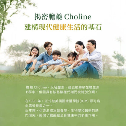 【MERGEN默根】重酒石酸膽鹼膠囊 60顆/盒 西班牙來源 思緒清晰 提升注意力 靈活應對 全素可食