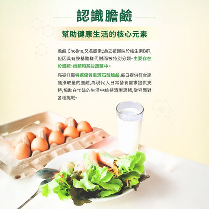 【MERGEN默根】亮亮好靈素食膠囊 30顆/包 天然膽鹼 芝麻素 思緒清晰 靈活穩定 全素可食