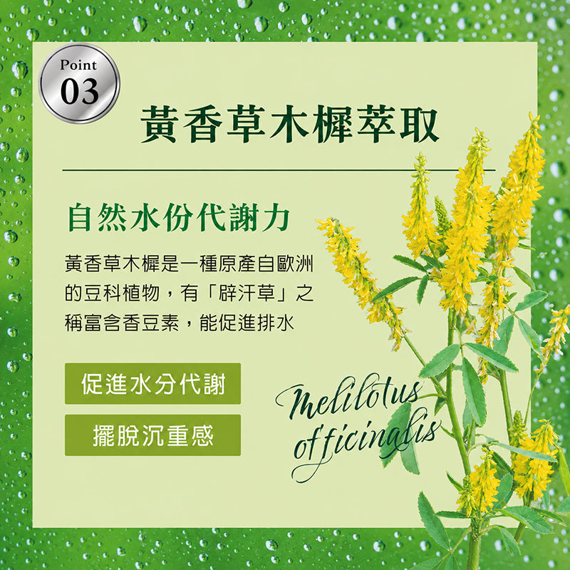 【沃爾司】食事安心-孅女茶 15包/盒 專利六種天然植萃 洛神風味 冷水沖泡 輕盈管理 提升代謝