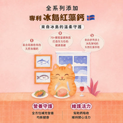 【安奈兒】好食光貓主食餐包 50g 六種口味 冰島紅藻鈣 益生元乳鐵蛋白機能添加 符合AAFCO標準 全齡貓