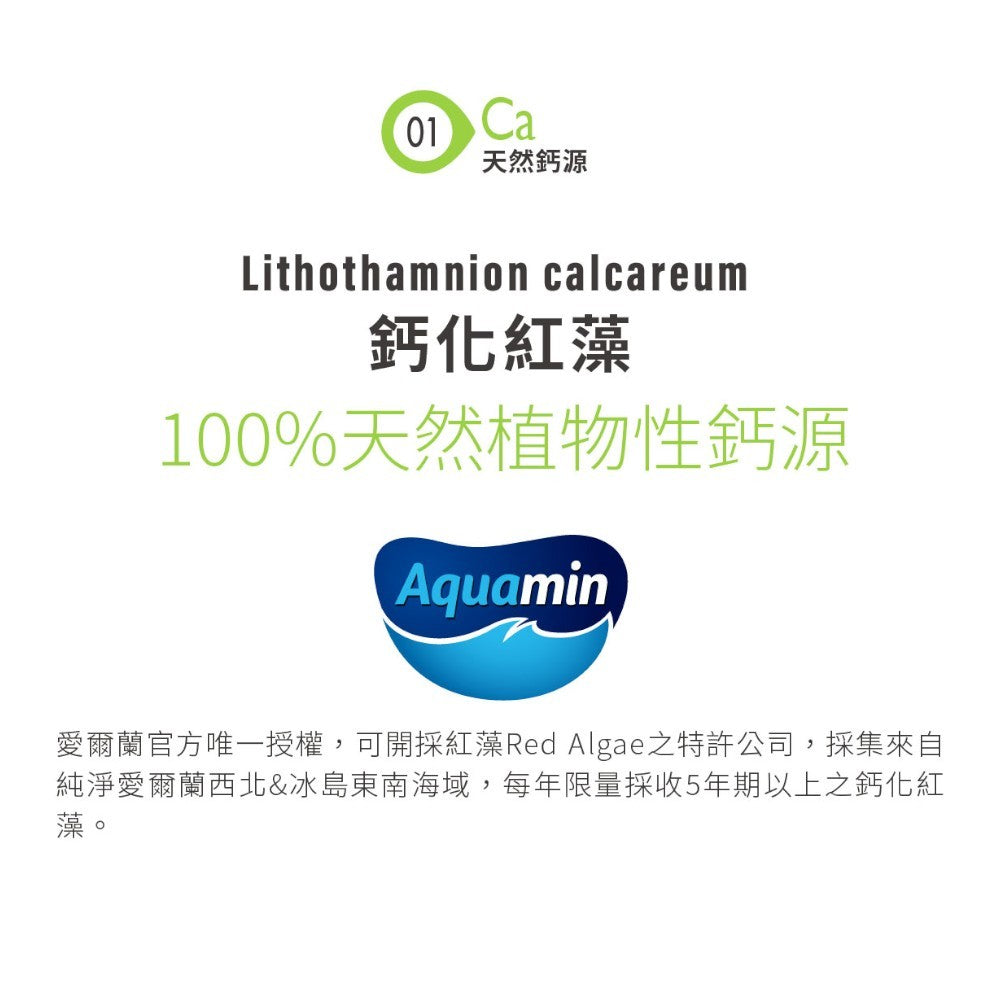 【百醫生技】酪蛋白胜肽海藻鈣複方膠囊 60顆/盒 專利海藻鈣 天然配方 CPP複方升級 維持行動力 營養補給