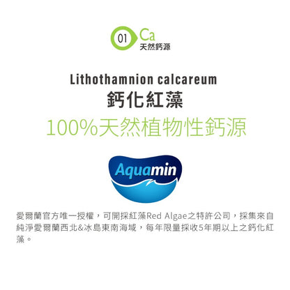 【百醫生技】酪蛋白胜肽海藻鈣複方膠囊 60顆/盒 專利海藻鈣 天然配方 CPP複方升級 維持行動力 營養補給