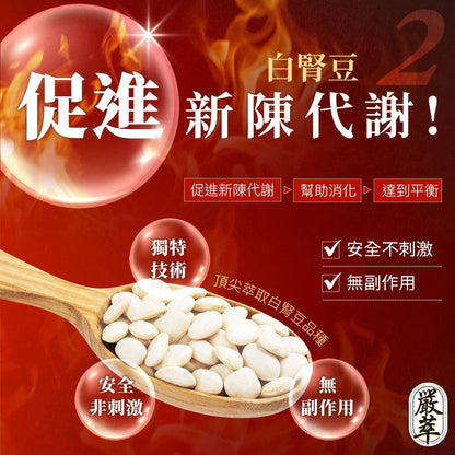 【嚴萃】燃No.1極致代謝x白腎豆 30顆/盒 多國專利原料 馬鈴薯萃取+海洋鎂 飯前補給 大餐應酬必備