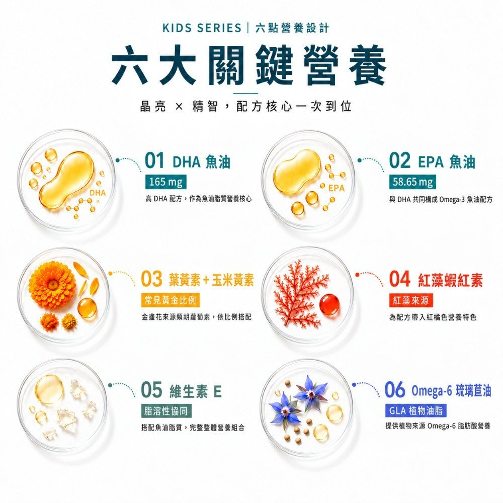 【INYOUSO】兒童葉黃素晶晶魚油 60顆/盒 DHA+EPA 金盞花葉黃素+紅藻蝦紅素+琉璃苣油 商品介紹圖 6