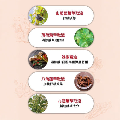 【樹飛雪】大薑軍電氣石貼布 10片/包 涼感+溫感 一條根 南薑精油 草本植萃 精油貼布 舒緩貼布