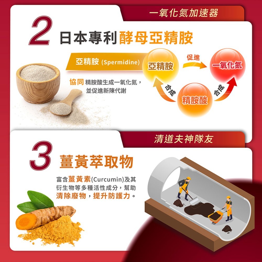 【松瑞製藥】精脈通精華飲 14入/盒 5000mg日本精胺酸 亞精胺 薑黃B群 促進新陳代謝 活力補給
