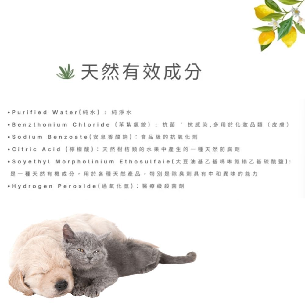 【汪咪博士】環境去味抗菌噴霧-小蒼蘭 300ml/瓶 99.9%抑菌 SGS檢驗 環境清潔驅蟲避蚤 犬貓適用 商品介紹圖 2