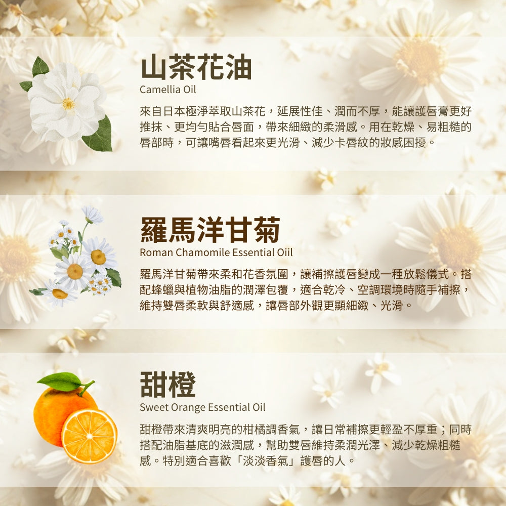 【泉發蜂蜜】蜂巢護唇膏 5g/支 蜂巢精華 山茶花油 蜂王乳 多款香氛選擇 輕盈不黏 植萃潤護 保護鎖水